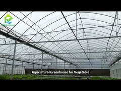 Poly Tunnel Plastic Film Greenhouse voor groenten