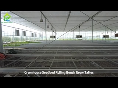 Wire Mesh Grow Table And Ebb Flood Rolling Bench Grow Table voor kas