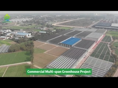 Poly Plastic Film Tunnel Multi-span Landbouw Groententeelt Kas