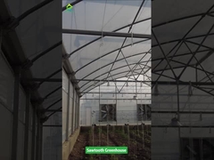 Sawtooth Design Tropische plastic film kas