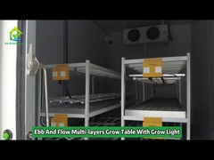 Meerlaagse Ebb en Flood Grow Table Rolling Bench Grow Racks met licht