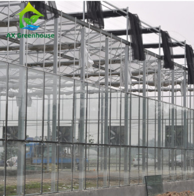 Commerciële Aangemaakte het Type van Glasvenlo Serre Multispan voor Landbouw