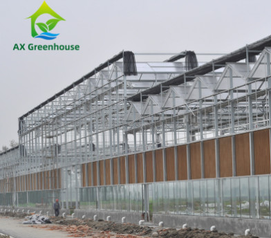 Commerciële Aangemaakte het Type van Glasvenlo Serre Multispan voor Landbouw