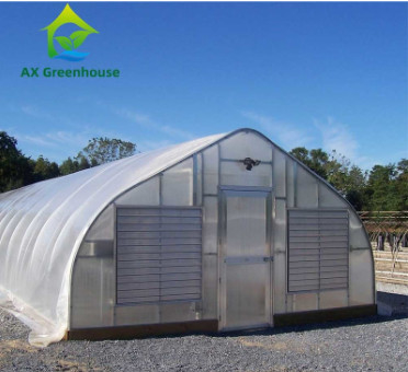 Plantenteelt Groentehuis met een enkele span polycarbonaat PC-plaat met een stabiele structuur en eenvoudige montage