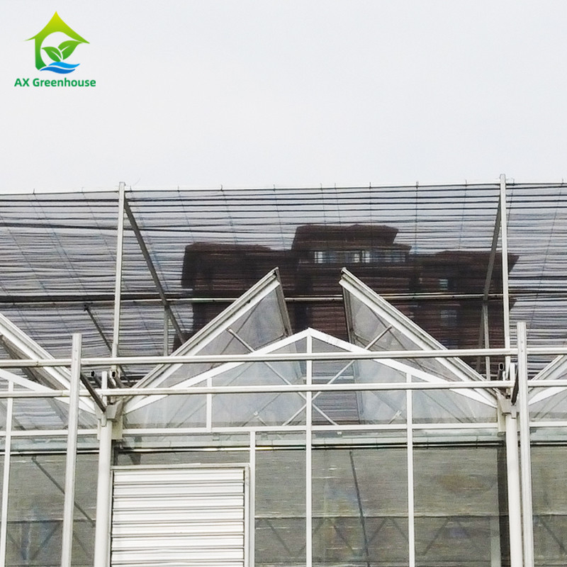 9.6m/10.8m/12m Breedte Aluminium legeringsframe Landbouwglas Venlo Multi-span kas Met driehoekige dakvorming