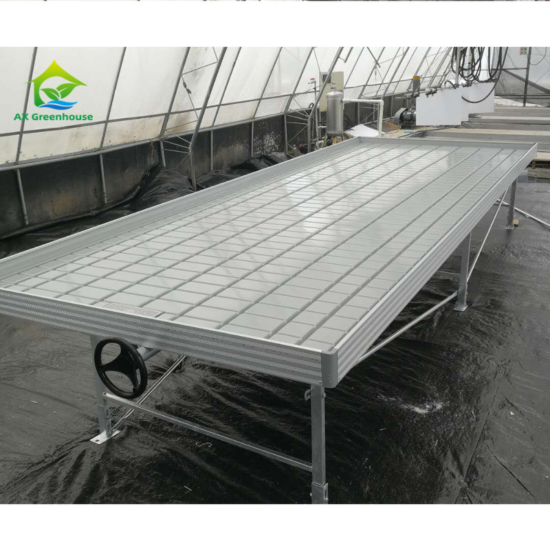 Grondloze kweekhuis binnenshuis Custom Ebb Grow Table Rolling Bench Voor zaad