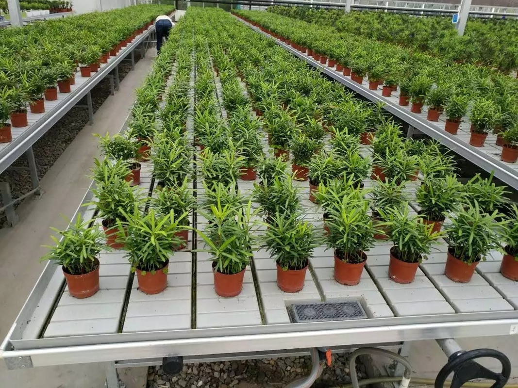 Kweek de Bank van Tray Rolling Ebb And Flow van de Lijstvloed voor de Zaailing van de Bloemserre