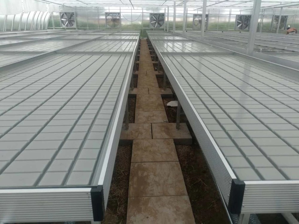 Kweek de Bank van Tray Rolling Ebb And Flow van de Lijstvloed voor de Zaailing van de Bloemserre