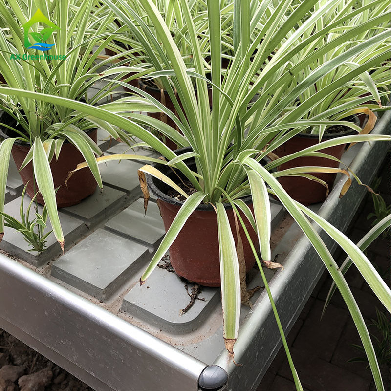 Ebb Flow Hydroponische mobiele hydroponische bodemloze cultuur Groeitafels Rollende bank voor zaaien