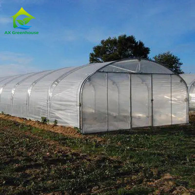 Hoge sterkte Gemakkelijk te installeren Poly Tunnel Kas Insectenpreventie Productie verhogen