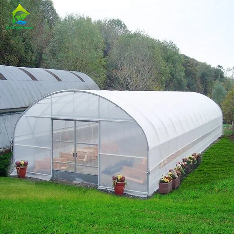 Hoge sterkte Gemakkelijk te installeren Poly Tunnel Kas Insectenpreventie Productie verhogen