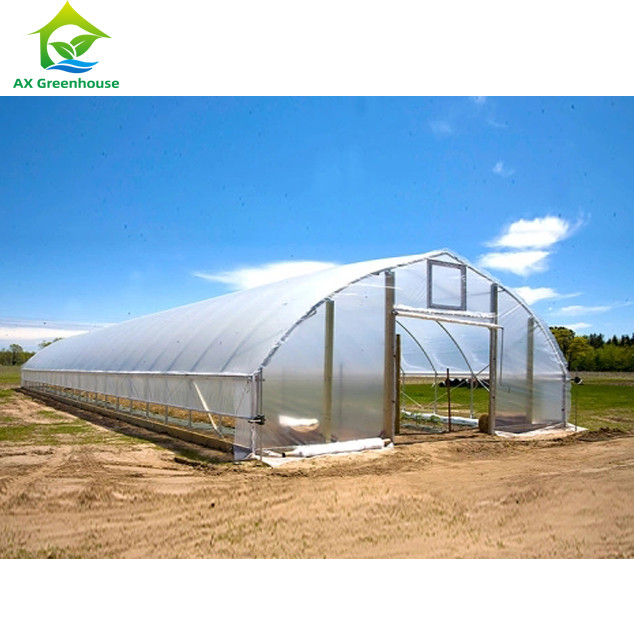 Hoge sterkte Gemakkelijk te installeren Poly Tunnel Kas Insectenpreventie Productie verhogen