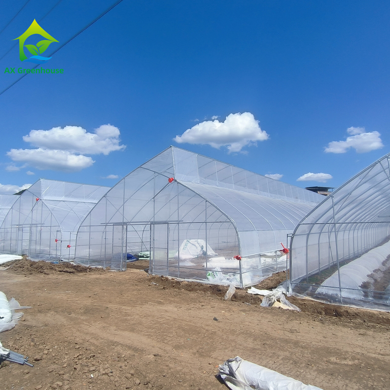 Fabrieksprijs Op Maat Gemaakte Plastic Folie Tunnel Tomaten Kweekkas Kas voor Landbouw