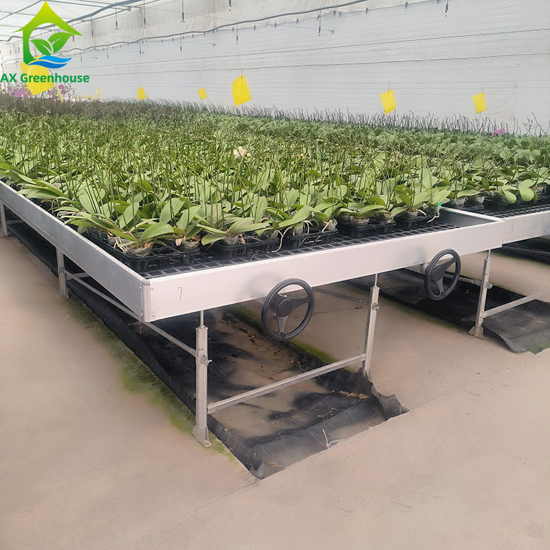 Ebb And Flood Hydroponische draagbare tafel rollende bank voor het kweken van planten in de kas