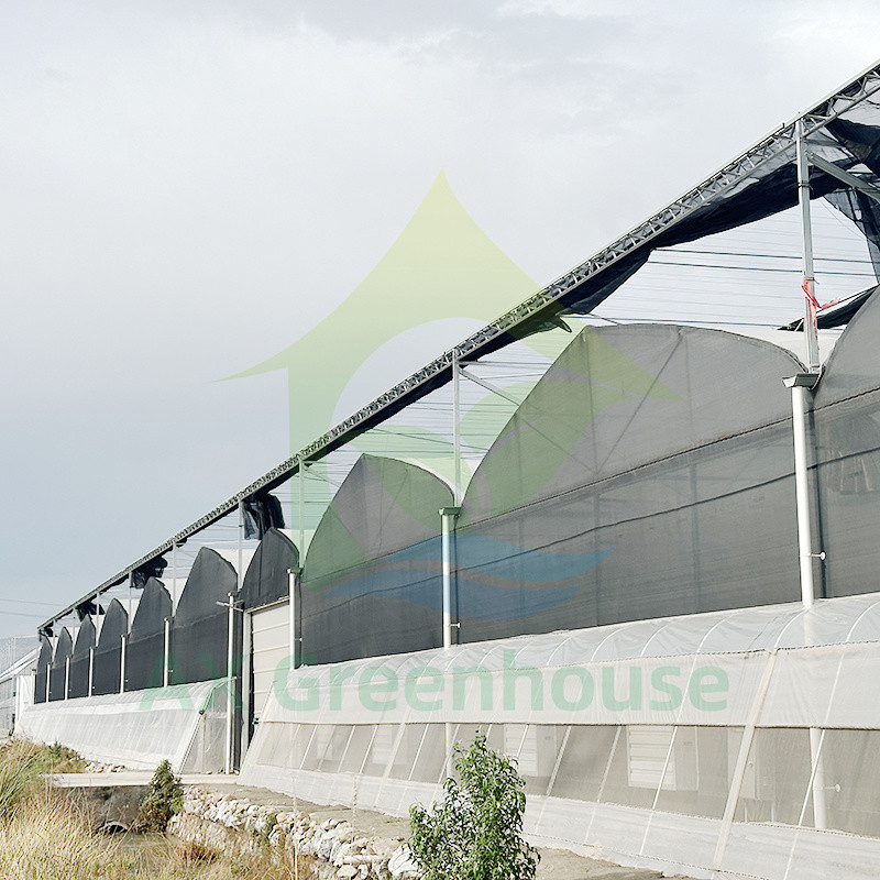 Plastic PE Film Multi Span Tomato Poly Tunnel kas voor groenten en fruit met schaduwnet