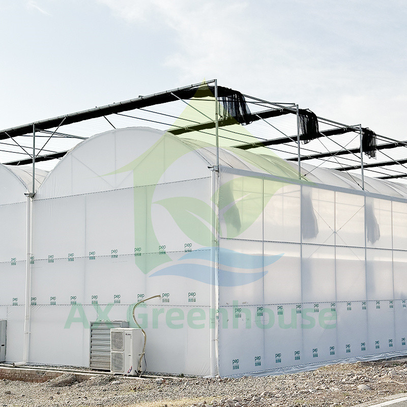 Plastic PE Film Multi Span Tomato Poly Tunnel kas voor groenten en fruit met schaduwnet