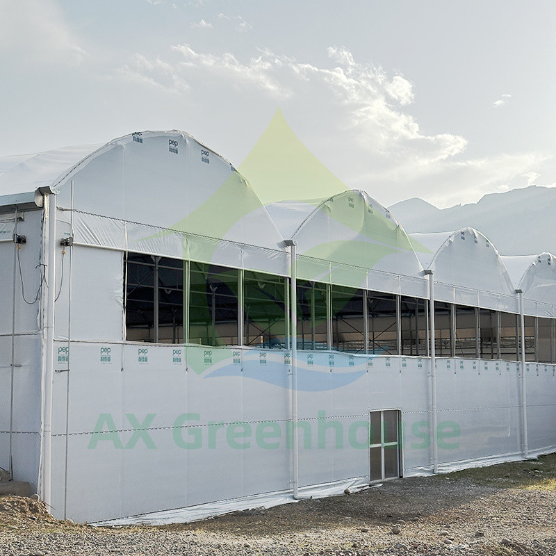 Plastic PE Film Multi Span Tomato Poly Tunnel kas voor groenten en fruit met schaduwnet