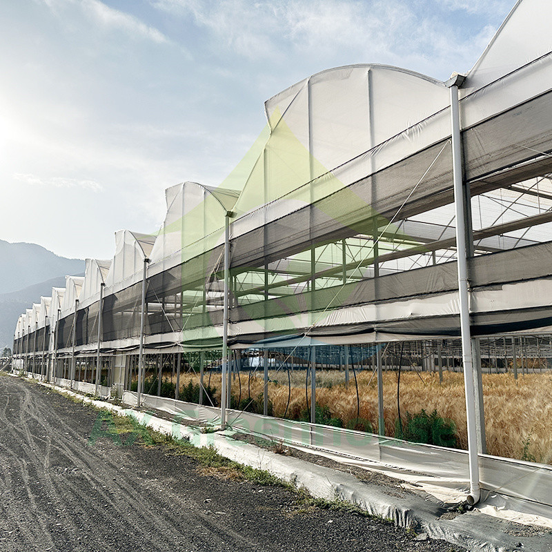 Plastic PE Film Multi Span Tomato Poly Tunnel kas voor groenten en fruit met schaduwnet