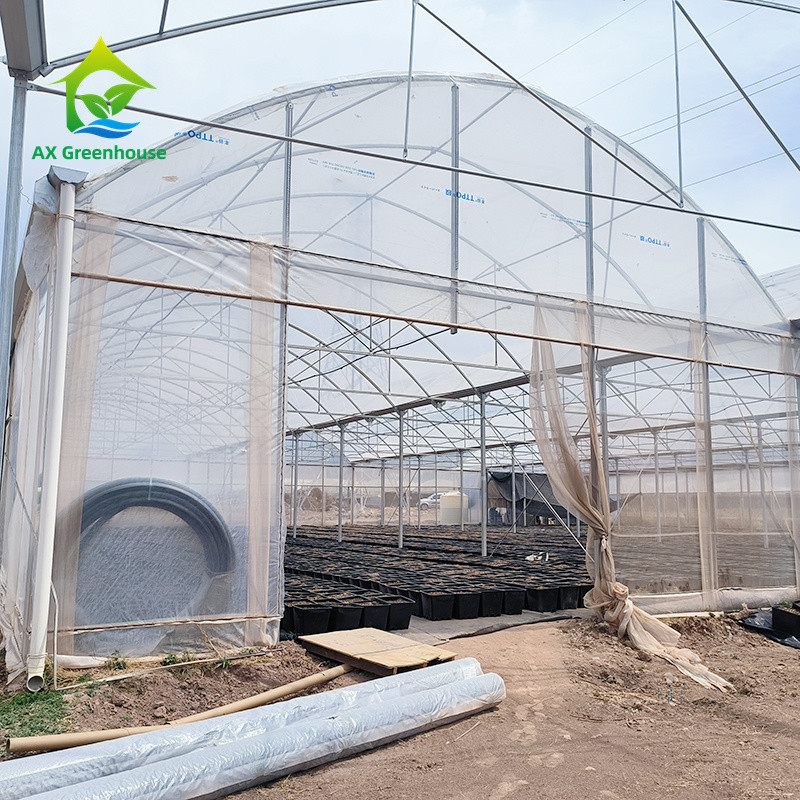 Multi Span Tropical Metal Frame Structure Tomato Poly Tunnel Kas voor groenten en fruit