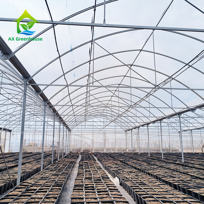 Multi Span Tropical Metal Frame Structure Tomato Poly Tunnel Kas voor groenten en fruit