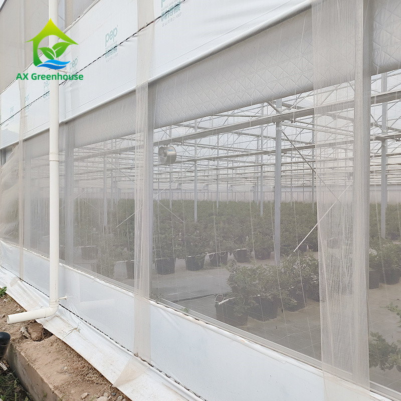 Multi Span Tropical Metal Frame Structure Tomato Poly Tunnel Kas voor groenten en fruit