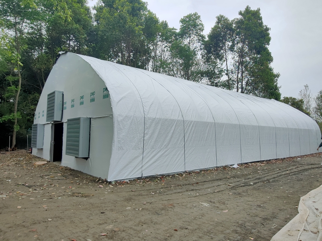 Fabrieksprijs Op Maat Gemaakte Plastic Folie Tunnel Tomaten Kweekkas Kas voor Landbouw