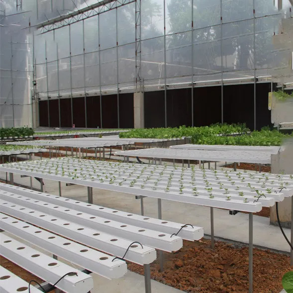 Groundless Indoor Farming Strawberry Growing PVC Tube For Hydroponics NFT Systeem te koop