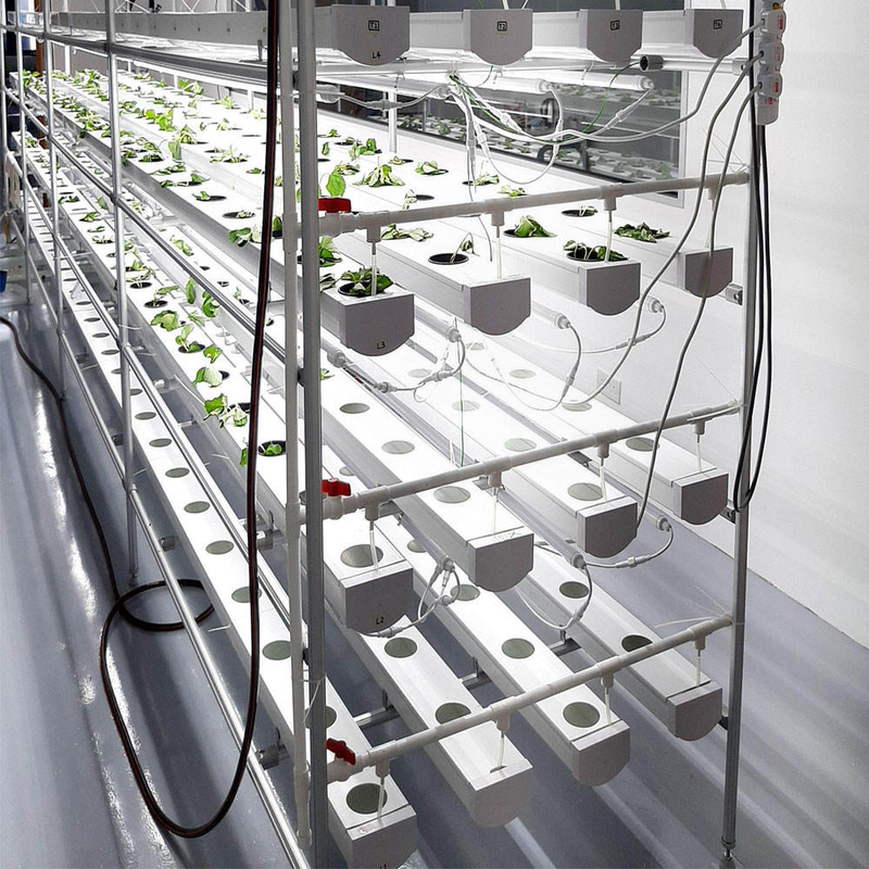 Tuinbouw Circulaire buis Grondloze cultuur Hydroponische NFT-kanaalgroei-systemen voor groei