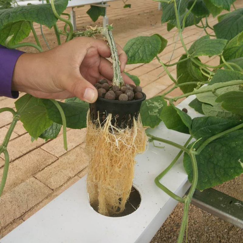 Tuinbouw Circulaire buis Grondloze cultuur Hydroponische NFT-kanaalgroei-systemen voor groei