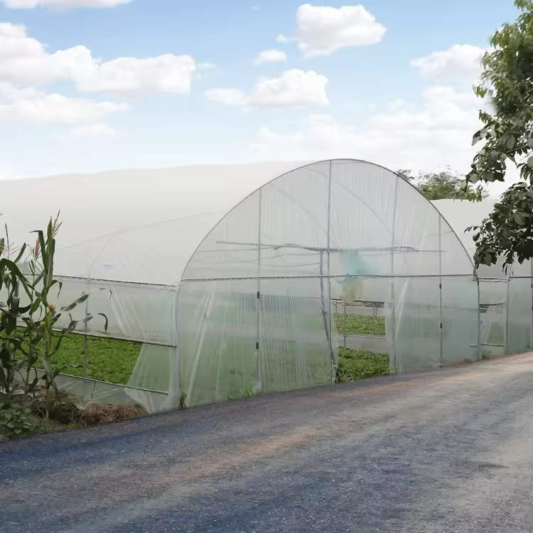Goedkope plastic PE-film UV-bestendige enkelvoudige groente-fruitkast kastent