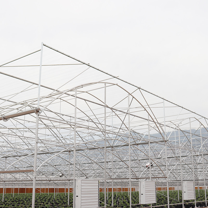 Warm gegalvaniseerde staalstructuur Multi-Span Plastic Film Custom kas met tropische top ventilatie zagtand ontwerp