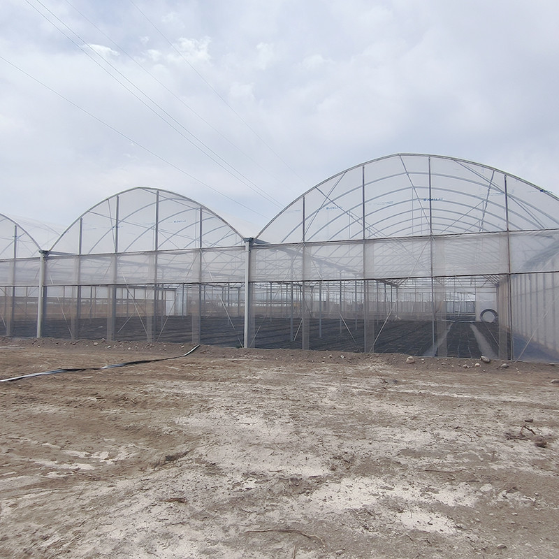 Warm gegalvaniseerde staalstructuur Multi-Span Plastic Film Custom kas met tropische top ventilatie zagtand ontwerp