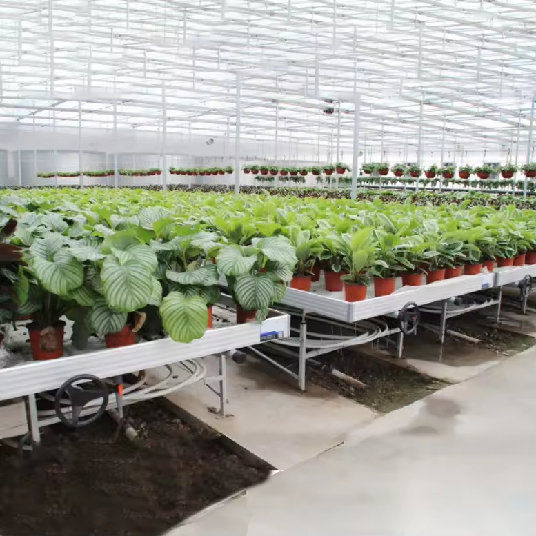 Groentehuis Indoor Hydroponic Ebb And Flood Rolling Benches Groen Zaden Tafel Voor het zaaien