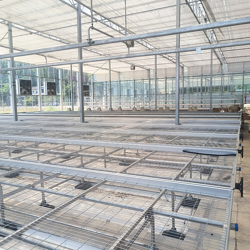 Landbouw Commerciële Indoor Mesh Draad Kas Groei Tafel Rollende Bank Voor Zaden