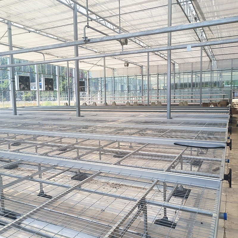 Aangepaste Roltafel voor Kassen met Eenvoudige Constructievoordelen en een Thermisch Verzinkt Stalen Frame