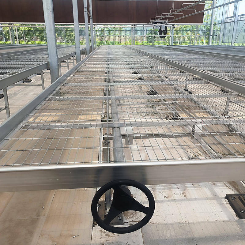 Lichtgewicht veelzijdige kasplantentafels, uitbreidbaar voor het kweken van diverse plantensoorten, roestbestendig