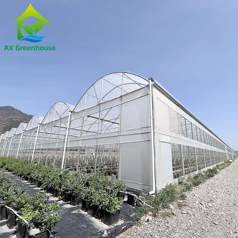 Warm gegalvaniseerde staalstructuur Multi-Span Plastic Film Custom kas met tropische top ventilatie zagtand ontwerp