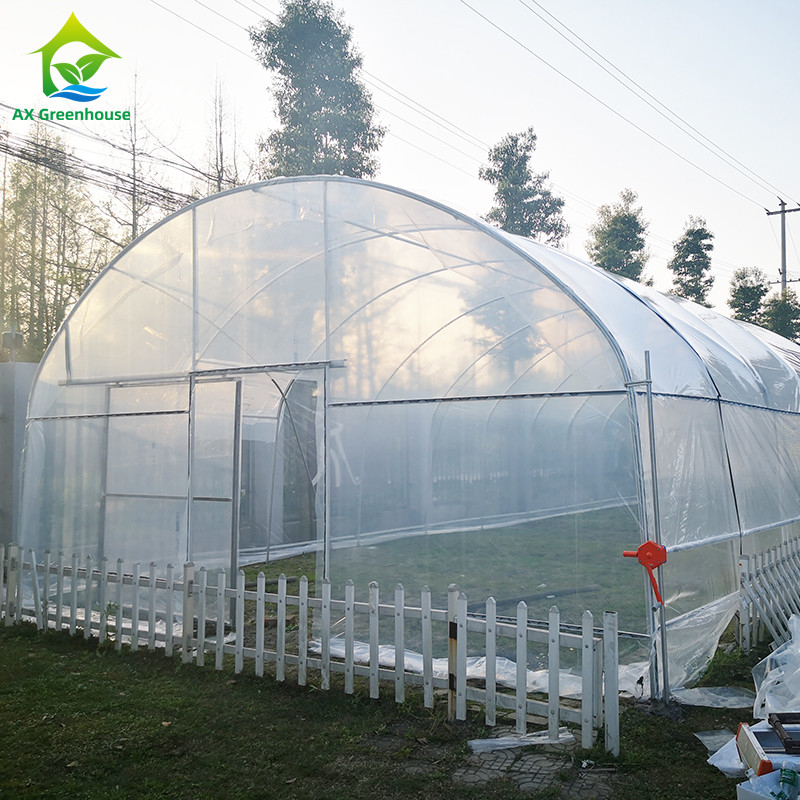 Goedkope plastic PE-film UV-bestendige enkelvoudige groente-fruitkast kastent