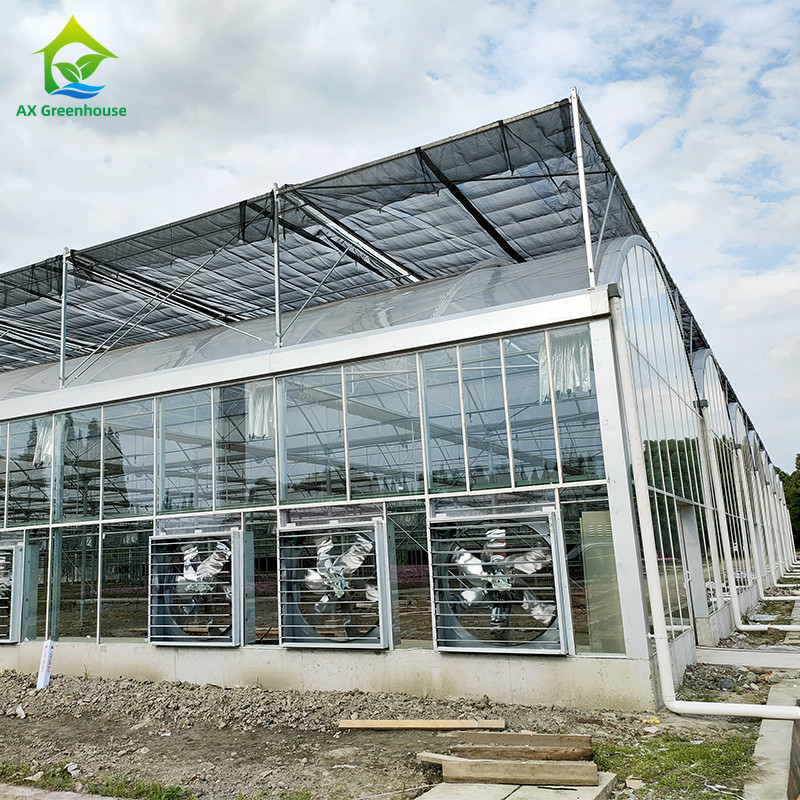 Intelligent besturingssysteem Duurzame kas voor groenten 9,6m/10,8m/12m Breedte