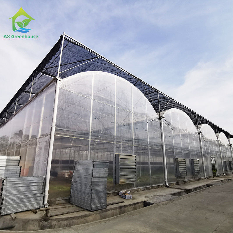 UV-bestendige 30x10m Plastic film kas voor tomaten en groenten met film