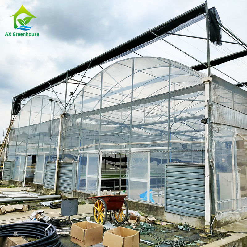 UV-bestendige 30x10m Plastic film kas voor tomaten en groenten met film