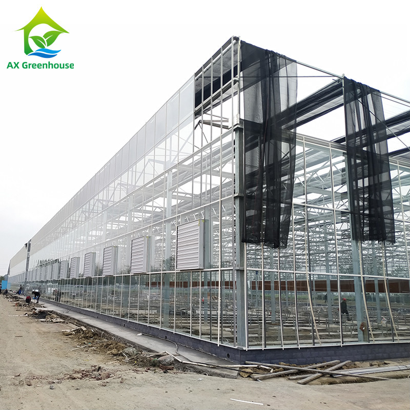 Intelligent besturingssysteem Duurzame kas voor groenten 9,6m/10,8m/12m Breedte
