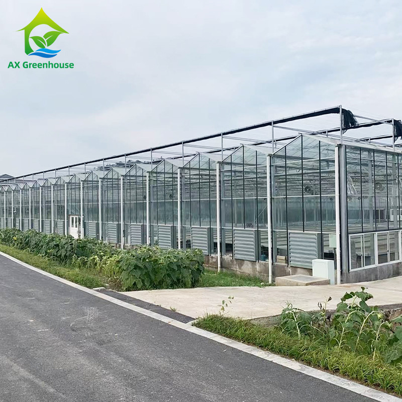 9.6m/10.8m/12m Breedte Aluminium legeringsframe Landbouwglas Venlo Multi-span kas Met driehoekige dakvorming