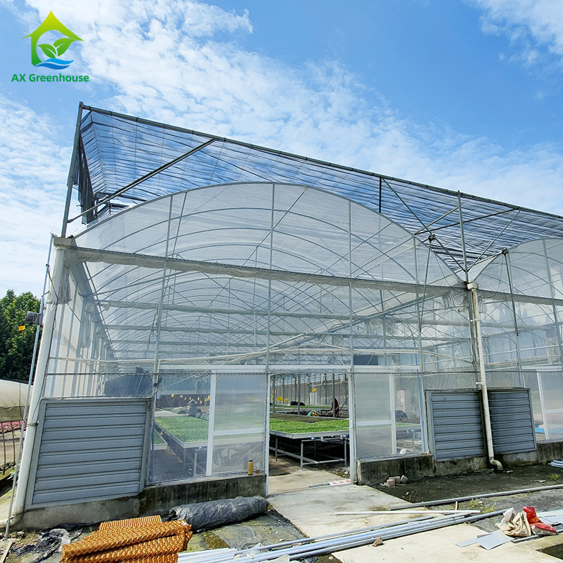 Duurzaam warm gedompeld gegalvaniseerd stalen meervoudig gespannen plastic film Landbouwkas voor fruit