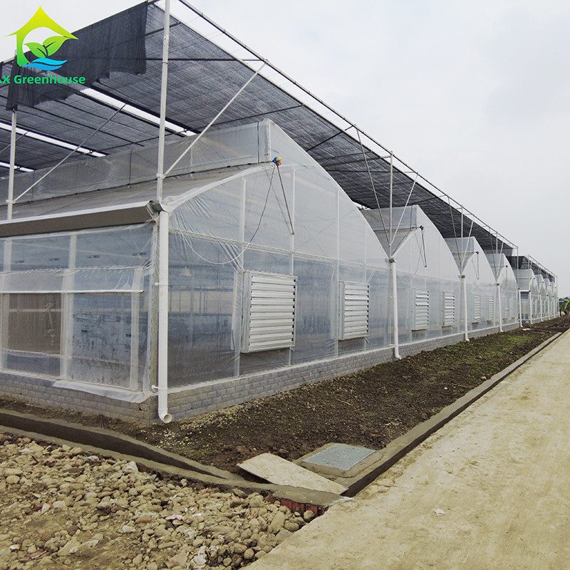 Duurzaam warm gedompeld gegalvaniseerd stalen meervoudig gespannen plastic film Landbouwkas voor fruit