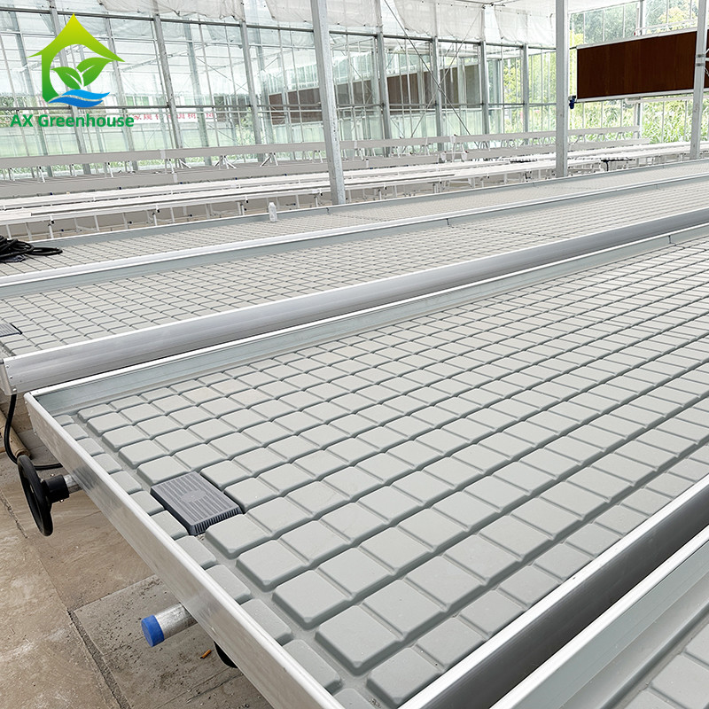 Gepersonaliseerde bloemen verbouwen binnen zaadbed kinderopvang verbouwen tafel rollende bank te koop