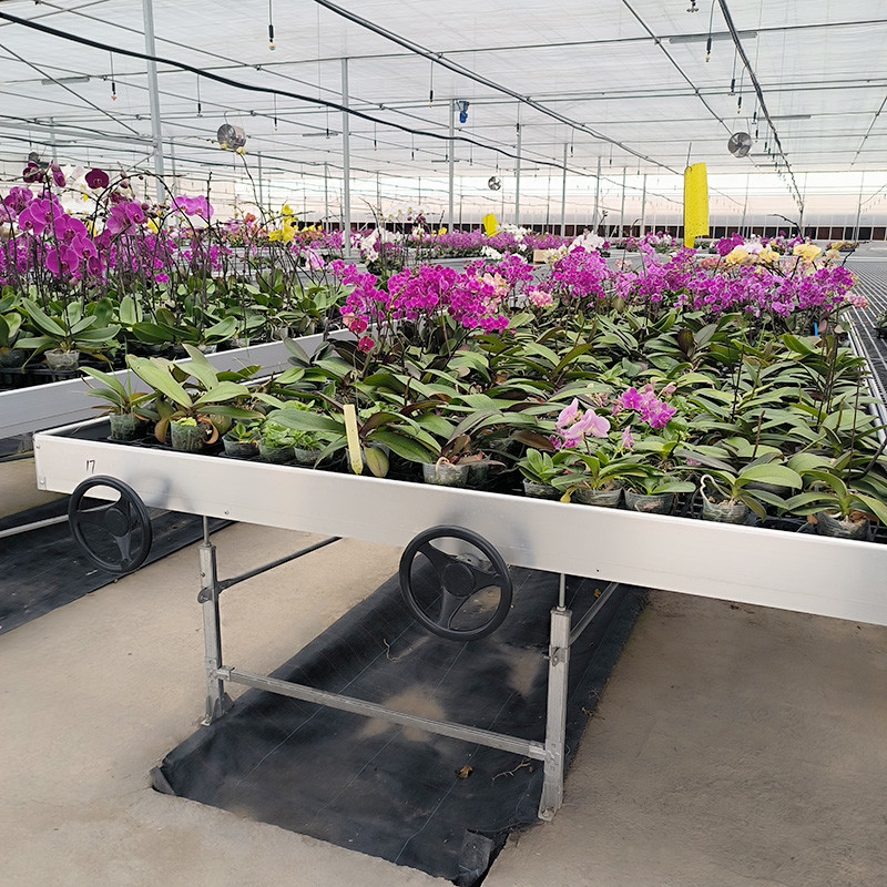 Gepersonaliseerde bloemen verbouwen binnen zaadbed kinderopvang verbouwen tafel rollende bank te koop