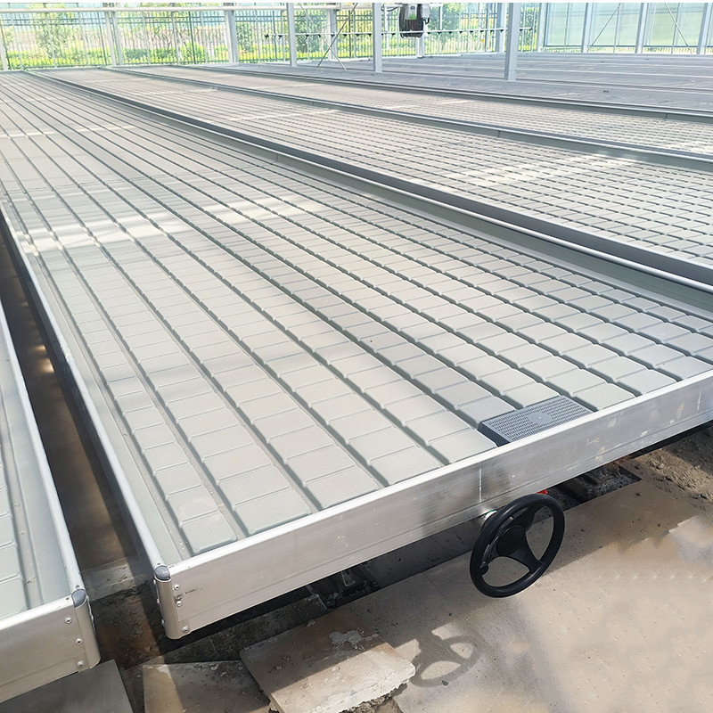 Groentehuis Indoor Hydroponic Ebb And Flood Rolling Benches Groen Zaden Tafel Voor het zaaien