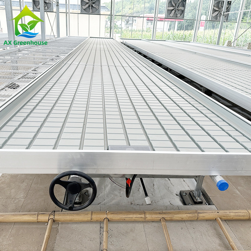Groentehuis Indoor Hydroponic Ebb And Flood Rolling Benches Groen Zaden Tafel Voor het zaaien