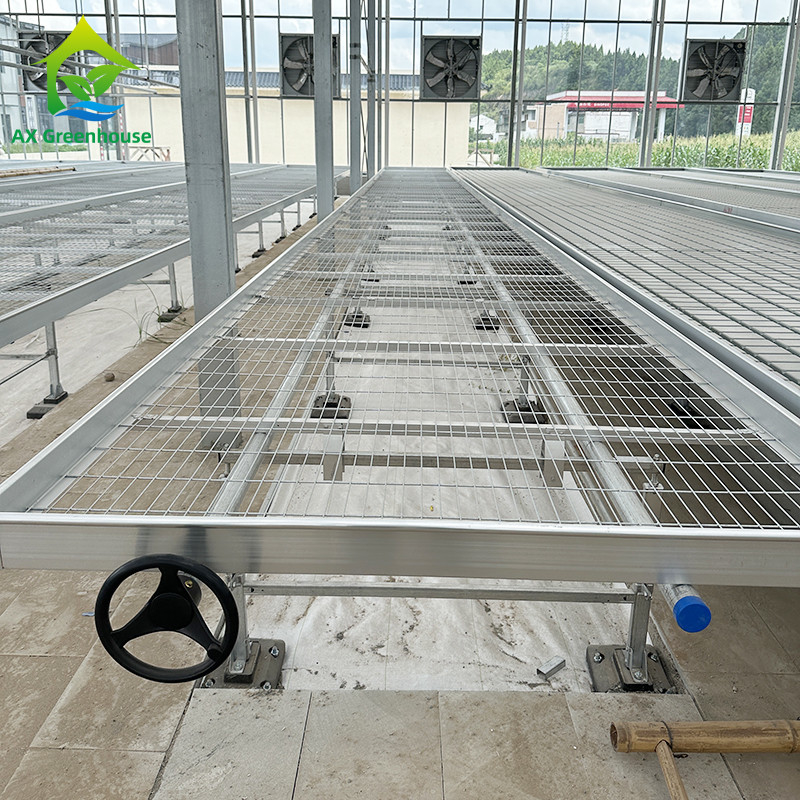 Groentehuis Indoor Hydroponic Ebb And Flood Rolling Benches Groen Zaden Tafel Voor het zaaien